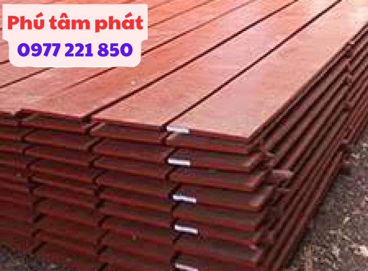 ván cốt pha 2