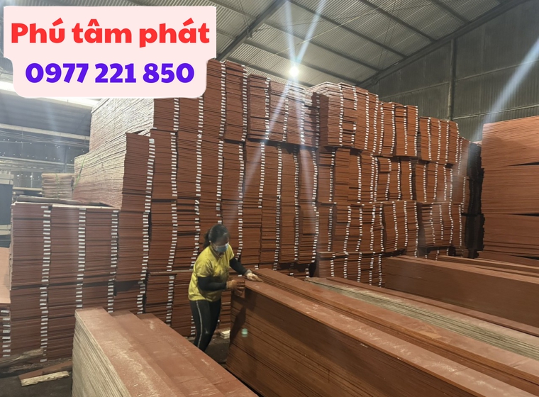 Ván cốt pha 3
